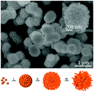 Graphical abstract: Hierarchical nanostructures of γ-TaON flowers for enhanced visible light driven photocatalytic activities