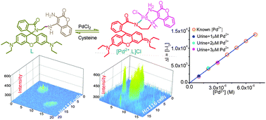 Graphical abstract: A new turn on Pd2+-specific fluorescence probe and its use as an imaging reagent for cellular uptake in Hct116 cells