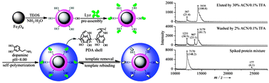 Graphical abstract: Selective enrichment of proteins for MALDI-TOF MS analysis based on molecular imprinting