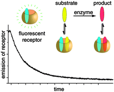 Graphical abstract: Associative chemosensing by fluorescent macrocycle–dye complexes – a versatile enzyme assay platform beyond indicator displacement