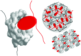 Graphical abstract: Supramolecular cyclodextrin-based drug nanocarriers