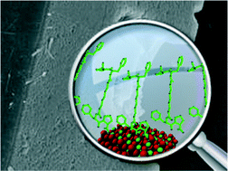 Graphical abstract: Shaping calcite crystals by customized self-assembling pseudopeptide foldamers