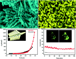 Graphical abstract: Decoration of CdS nanoparticles on 3D self-assembled ZnO nanorods: a single-step process with enhanced field emission behaviour