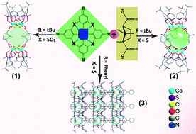 Graphical abstract: Bridging different Co4–calix[4]arene building blocks into grids, cages and 2D polymers with chiral camphoric acid
