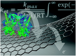 Graphical abstract: Evidence of short-range electron transfer of a redox enzyme on graphene oxide electrodes