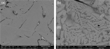 Graphical abstract: Enhanced thermoelectric performance in the p-type half-Heusler (Ti/Zr/Hf)CoSb0.8Sn0.2 system via phase separation