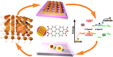 Graphical abstract: Coupled organic–inorganic nanostructures (COIN)