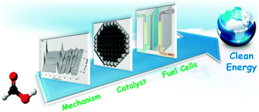 Graphical abstract: Electrocatalysis of formic acid on palladium and platinum surfaces: from fundamental mechanisms to fuel cell applications