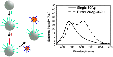 Graphical abstract: Enhancing spectral shifts of plasmon-coupled noble metal nanoparticles for sensing applications