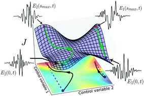Graphical abstract: Exploring the complexity of quantum control optimization trajectories