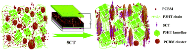 Graphical abstract: A mechanistic investigation of morphology evolution in P3HT–PCBM films induced by liquid crystalline molecules under external electric field