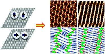 Graphical abstract: Self-assembly polymorphism of 2,7-bis-nonyloxy-9-fluorenone: solvent induced the diversity of intermolecular dipole–dipole interactions
