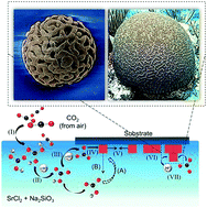Graphical abstract: Growth of micro-ikebana on a floating substrate: a method to monitor local supersaturation levels