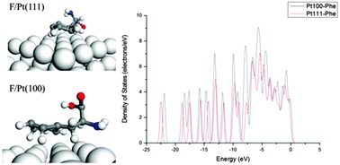 Graphical abstract: Design rules for metal binding biomolecules: understanding of amino acid adsorption on platinum crystallographic facets from density functional calculations