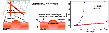 Graphical abstract: A long-term oxidation barrier for copper nanowires: graphene says yes