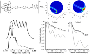 Graphical abstract: Pulsed electron–electron double resonance spectroscopy between a high-spin Mn2+ ion and a nitroxide spin label