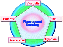 Graphical abstract: Macro-/micro-environment-sensitive chemosensing and biological imaging