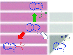 Graphical abstract: Strategies for the asymmetric functionalization of indoles: an update