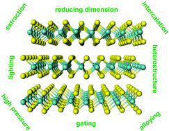 Graphical abstract: Physical and chemical tuning of two-dimensional transition metal dichalcogenides