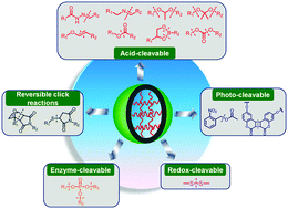Graphical abstract: Micro- and nanogels with labile crosslinks – from synthesis to biomedical applications