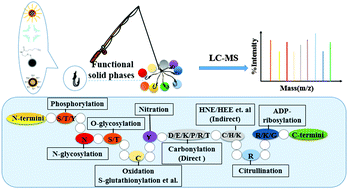 Graphical abstract: Fishing the PTM proteome with chemical approaches using functional solid phases