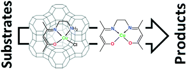 Graphical abstract: Tri- and tetradentate copper complexes: a comparative study on homogeneous and heterogeneous catalysis over oxidation reactions