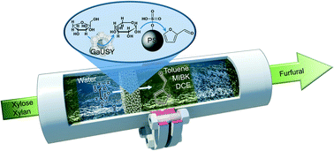 Graphical abstract: When catalyst meets reactor: continuous biphasic processing of xylan to furfural over GaUSY/Amberlyst-36