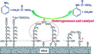 Graphical abstract: Efficient and recyclable heterogeneous zinc alkyl carboxylate catalyst for the synthesis of N-phenyl carbamate from aniline and dimethylcarbonate