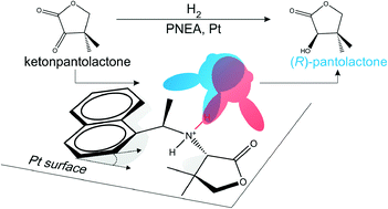 Graphical abstract: Adsorption and stability of chiral modifiers based on 1-(1-naphthyl)-ethylamine for Pt catalysed heterogeneous asymmetric hydrogenations