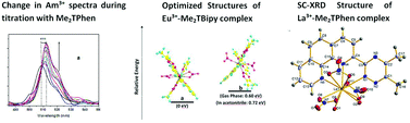 Graphical abstract: Complexation of trivalent americium and lanthanides with terdentate ‘N’ donor ligands: the role of rigidity in the ligand structure