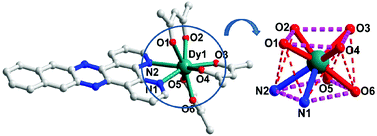 Graphical abstract: [Dy(acac)3(dppn)]·C2H5OH: construction of a single-ion magnet based on the square-antiprism dysprosium(iii) ion