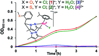 Graphical abstract: Synthesis, characterisation and antibacterial activity of [(p-cym)RuX(L)]+/2+ (X = Cl, H2O; L = bpmo, bpms) complexes