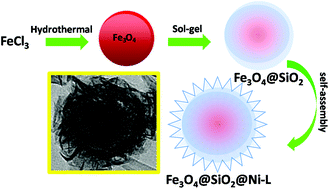 Graphical abstract: Preparation of magnetic core–shell iron oxide@silica@nickel-ethylene glycol microspheres for highly efficient sorption of uranium(vi)