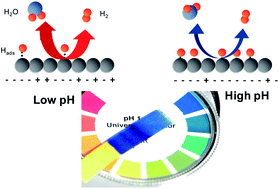 Graphical abstract: New insights into the electrochemical hydrogen oxidation and evolution reaction mechanism