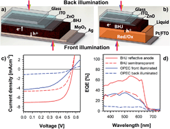 Graphical abstract: Organic photoelectrochemical cells with quantitative photocarrier conversion