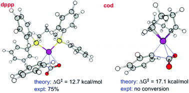 Graphical abstract: Computational and experimental comparison of diphosphane and diene ligands in the Rh-catalysed carboxylation of organoboron compounds with CO2