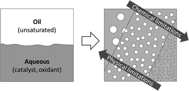Graphical abstract: Insights into biphasic oxidations with hydrogen peroxide; towards scaling up