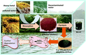 Graphical abstract: Harvest of Cu NP anchored magnetic carbon materials from Fe/Cu preloaded biomass: their pyrolysis, characterization, and catalytic activity on aqueous reduction of 4-nitrophenol
