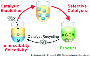 Graphical abstract: Preparation of bio-based surfactants from glycerol and dodecanol by direct etherification