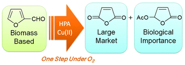Graphical abstract: Catalytic aerobic oxidation of renewable furfural to maleic anhydride and furanone derivatives with their mechanistic studies