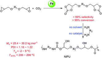 Graphical abstract: Quantitative synthesis of bis(cyclic carbonate)s by iron catalyst for non-isocyanate polyurethane synthesis