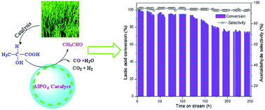 Graphical abstract: Efficient and selective conversion of lactic acid into acetaldehyde using a mesoporous aluminum phosphate catalyst