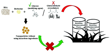 Graphical abstract: Evaluation of berberine/bovine serum albumin nanoparticles for liver fibrosis therapy