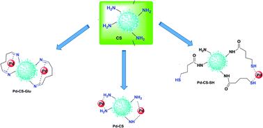 Graphical abstract: Pd embedded in chitosan microspheres as tunable soft-materials for Sonogashira cross-coupling in water–ethanol mixture