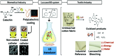 Graphical abstract: Ultrasound enhanced laccase applications