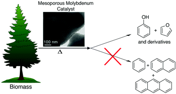 Graphical abstract: Molybdenum incorporated mesoporous silica catalyst for production of biofuels and value-added chemicals via catalytic fast pyrolysis