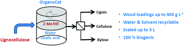 Graphical abstract: Fractionation of lignocellulosic biomass using the OrganoCat process