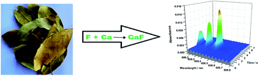 Graphical abstract: Determination of fluorine in plant materials via calcium mono-fluoride using high-resolution graphite furnace molecular absorption spectrometry with direct solid sample introduction