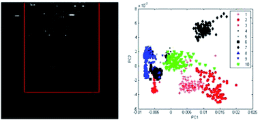 Graphical abstract: Impact of data reduction on multivariate classification models built on spectral data from bio-samples