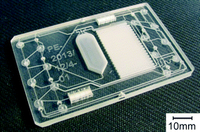 Graphical abstract: A solvent resistant lab-on-chip platform for radiochemistry applications